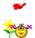 blumi blumi